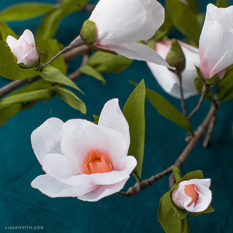 Bramble Workshop for LGM | Paper Magnolias