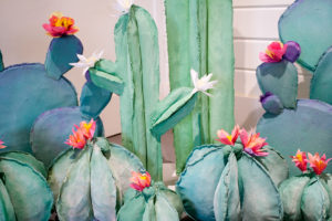 Cacti Window for KEEN | Bramble Workshop